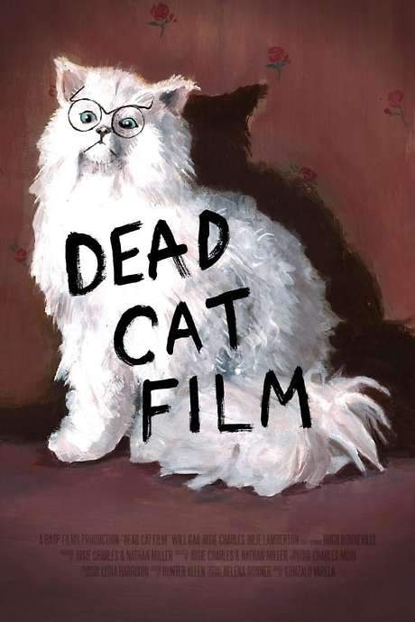 Dead Cat Film